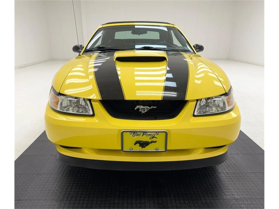 2003 Ford SN95 Mustang - Image 11 of 31