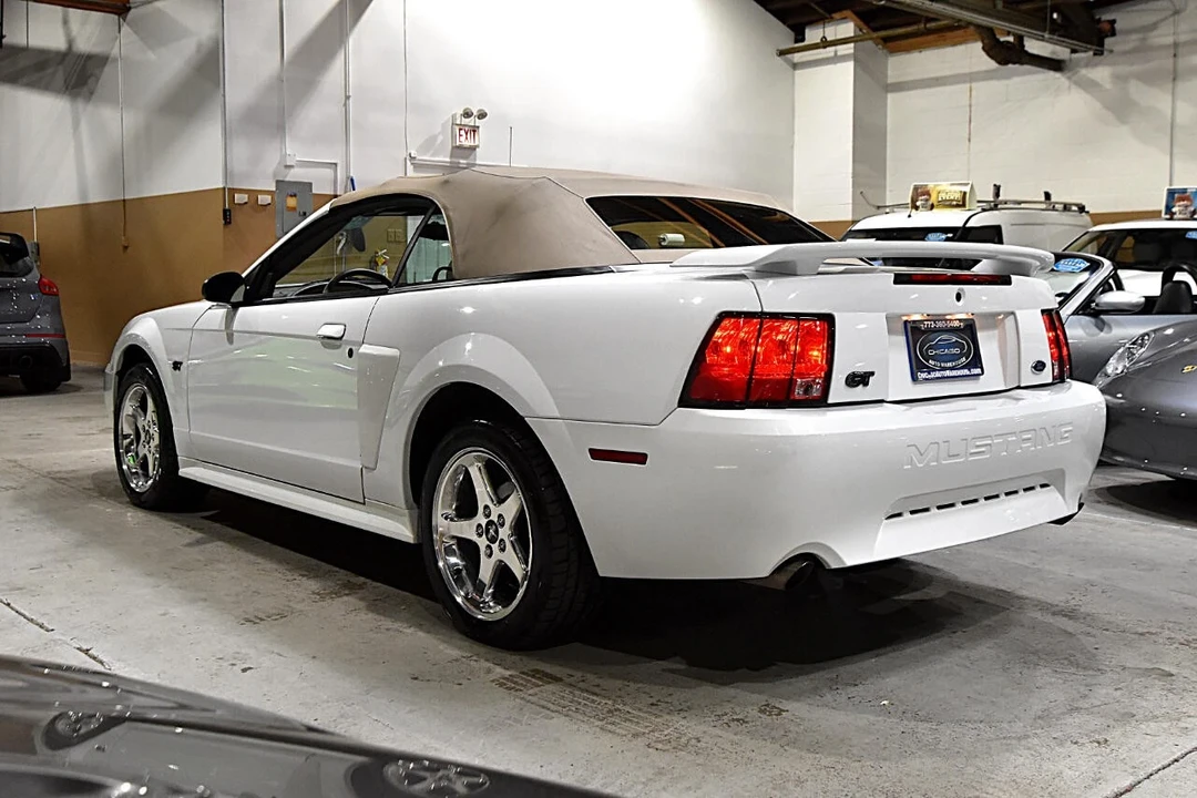 2003 Ford SN95 Mustang - Image 15 of 21