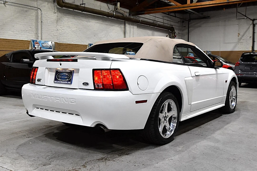 2003 Ford SN95 Mustang - Image 10 of 12