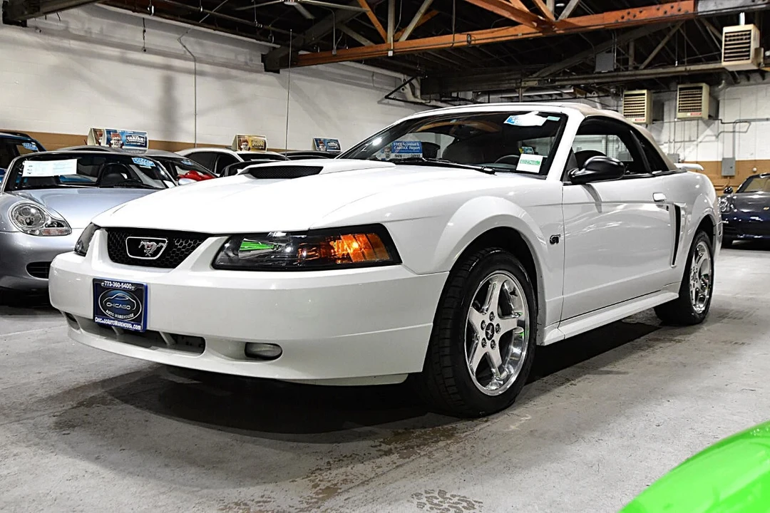 2003 Ford SN95 Mustang - Image 8 of 12