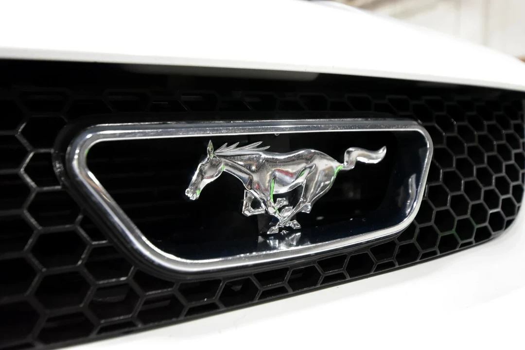 2003 Ford SN95 Mustang - Image 6 of 12