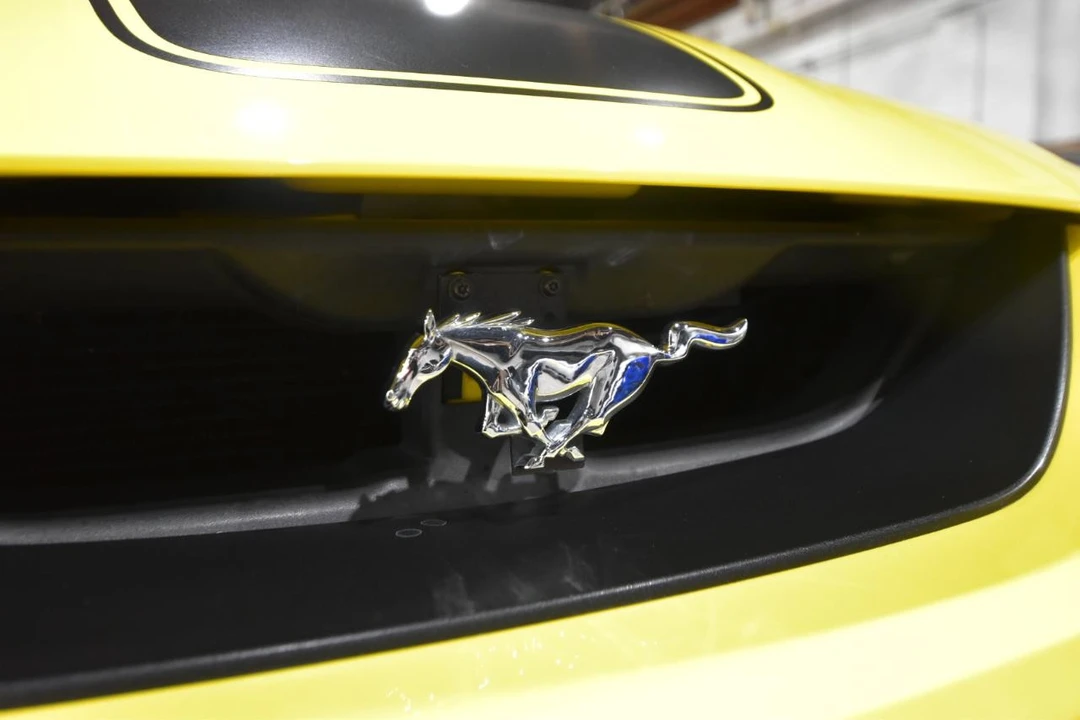 2003 Ford SN95 Mustang - Image 3 of 21