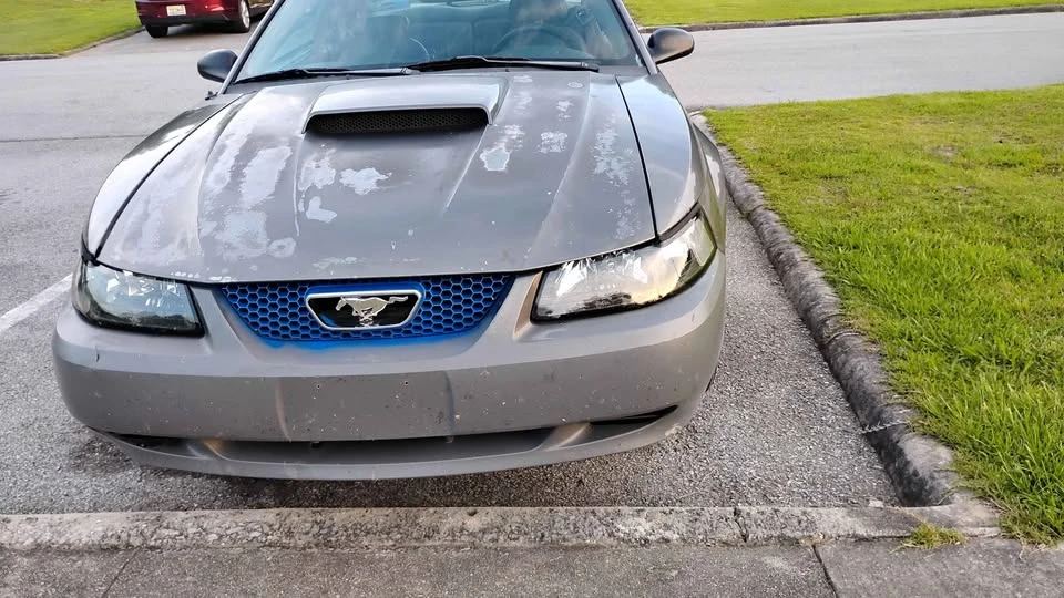2003 Ford SN95 Mustang - Image 5 of 16