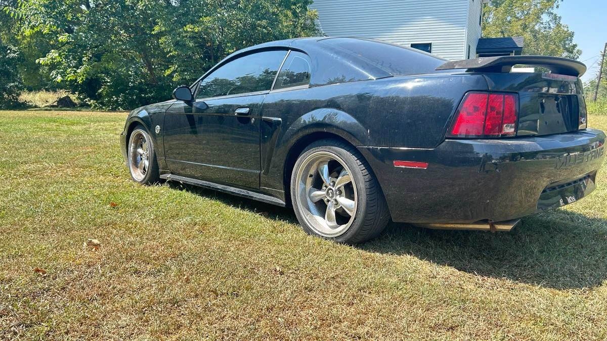 2003 Ford SN95 Mustang - Image 2 of 13