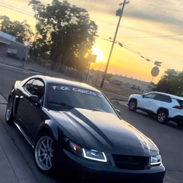 2003 Ford Mustang Bullitt