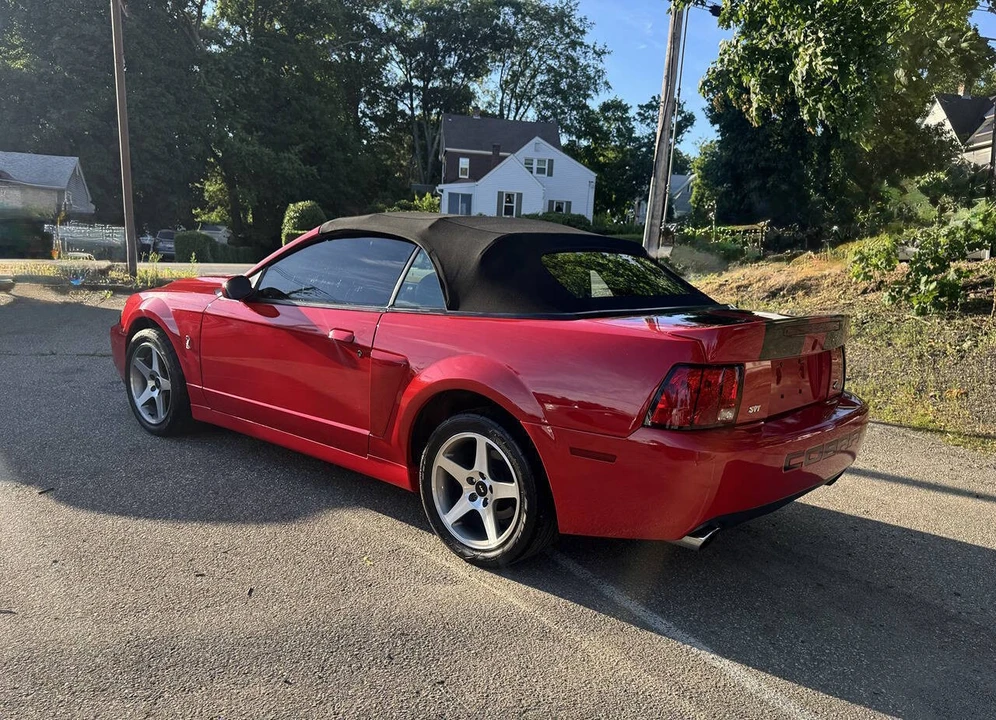 2003 Ford SN95 Mustang - Image 6 of 16