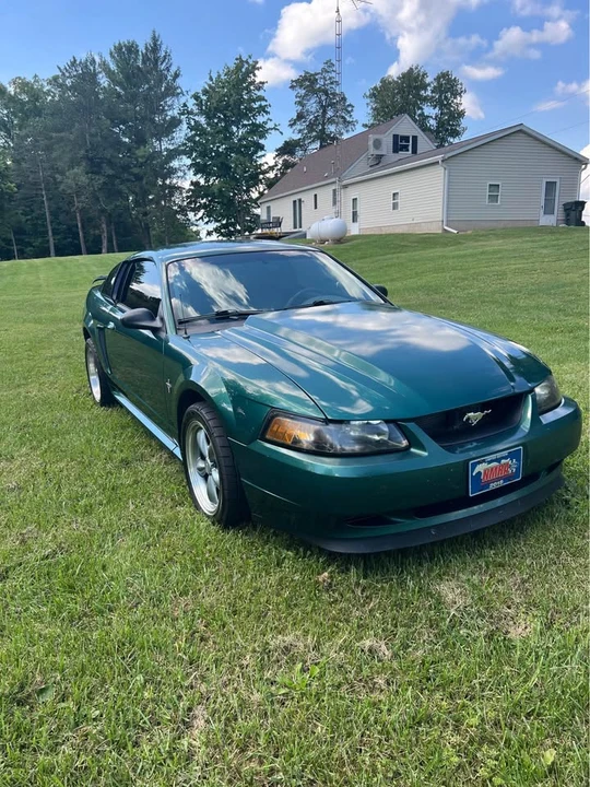 2003 Ford SN95 Mustang - Image 2 of 8