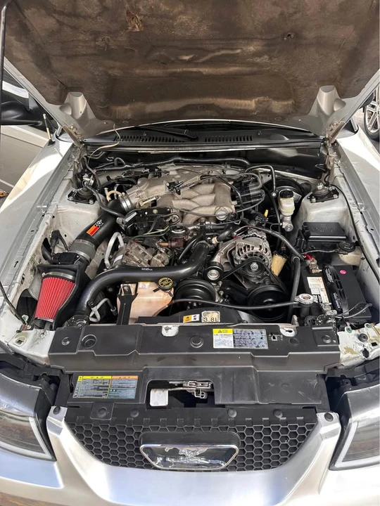 2003 Ford SN95 Mustang - Image 2 of 3