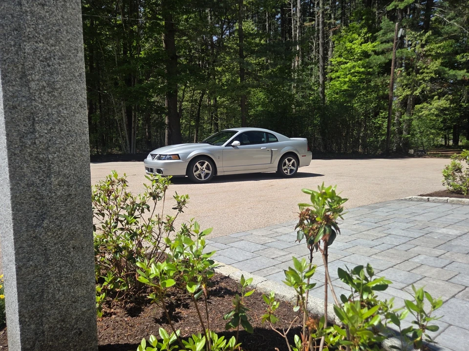 2003 Ford SN95 Mustang Cobra - Image 11 of 31