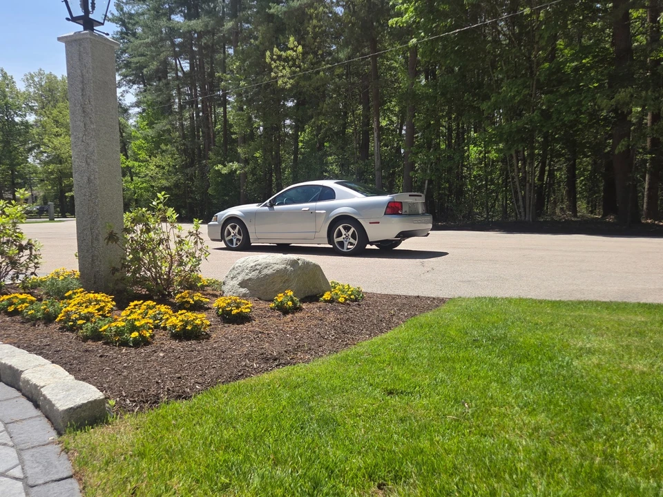2003 Ford SN95 Mustang Cobra - Image 14 of 31