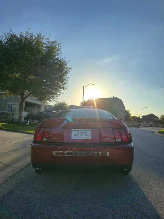 2003 Ford SN95 Mustang Cobra - Image 15 of 18