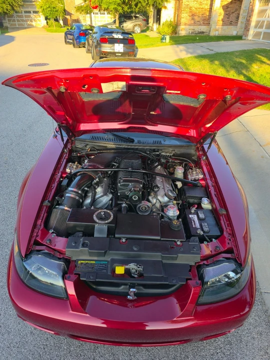 2003 Ford SN95 Mustang Cobra - Image 11 of 18