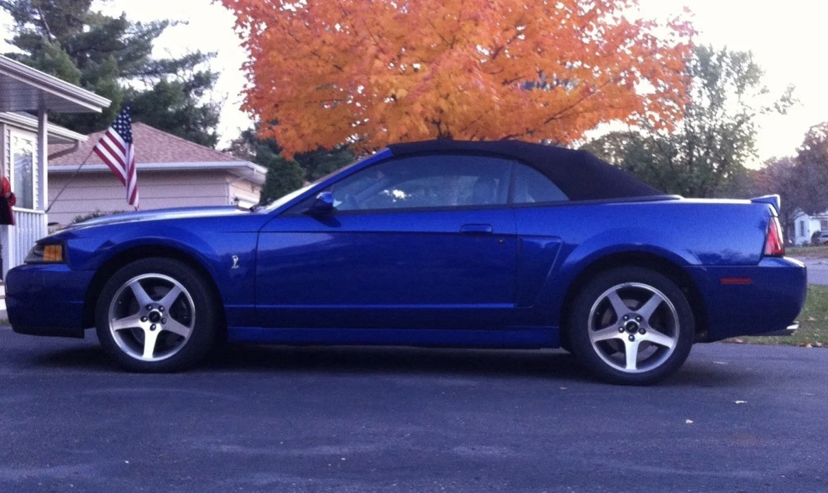2003 Ford SN95 Mustang Cobra - Image 4 of 5