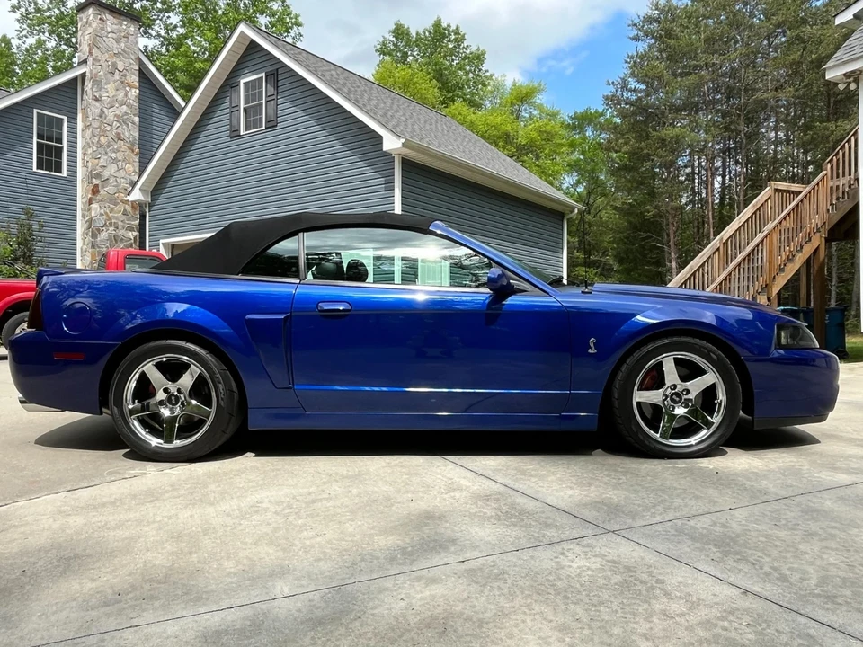 2003 Ford SN95 Mustang Cobra - Image 5 of 15