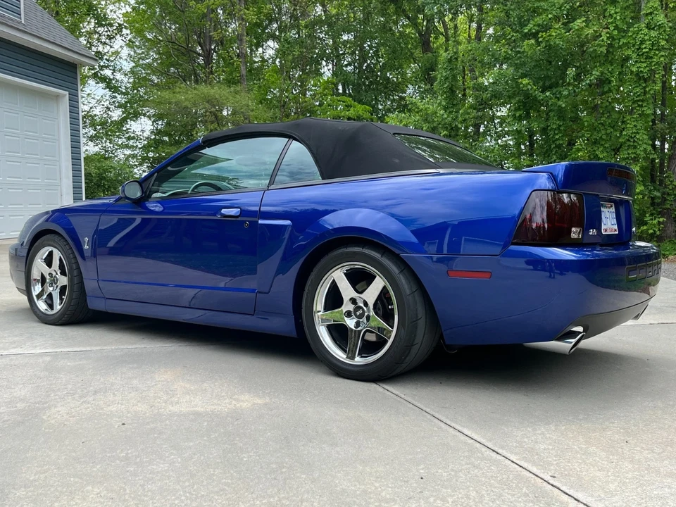 2003 Ford SN95 Mustang Cobra - Image 8 of 15
