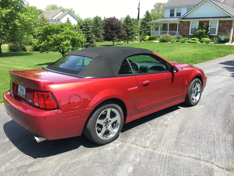 2003 Ford SN95 Mustang Cobra - Image 6 of 13