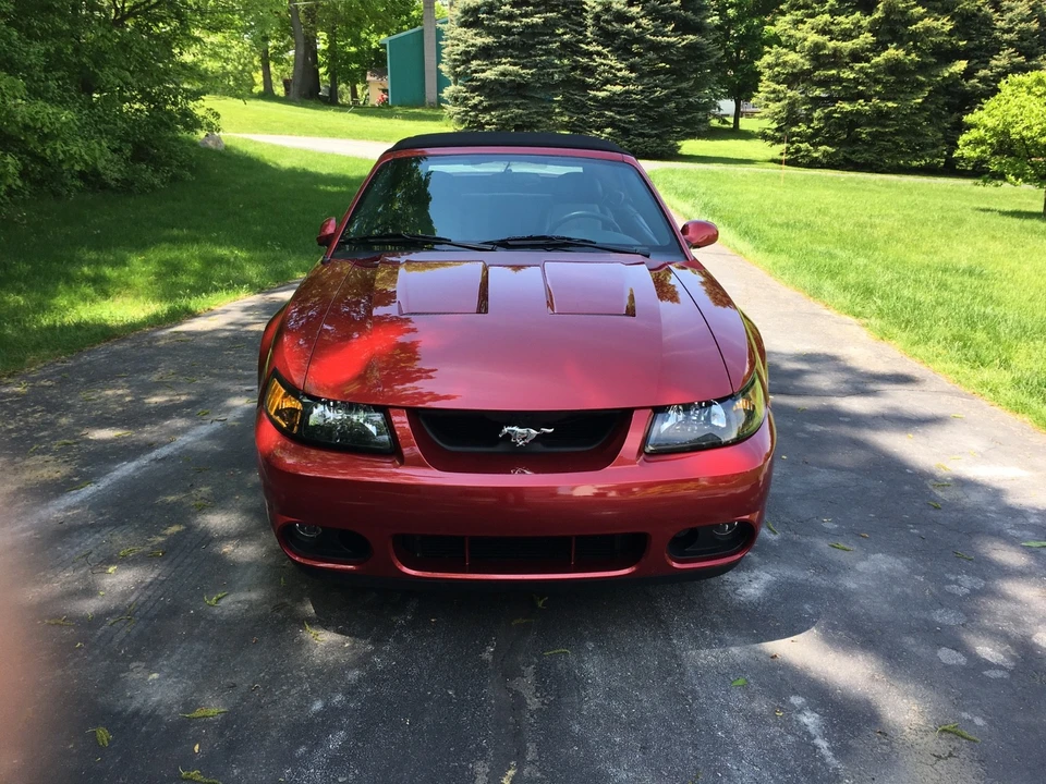 2003 Ford SN95 Mustang Cobra - Image 5 of 13