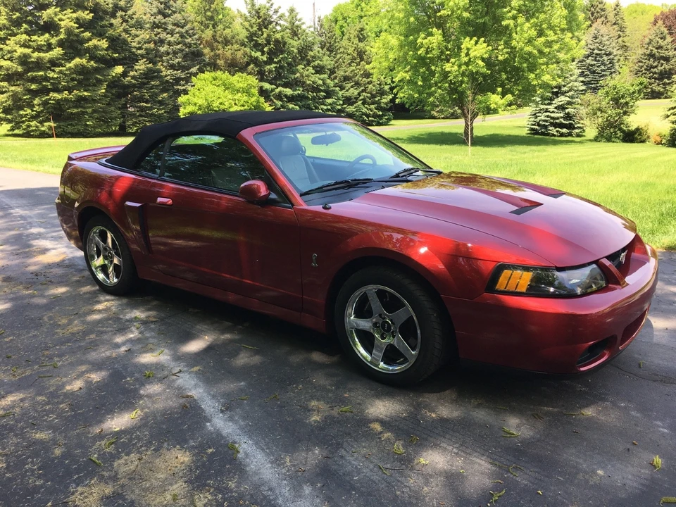 2003 Ford SN95 Mustang Cobra - Image 4 of 13