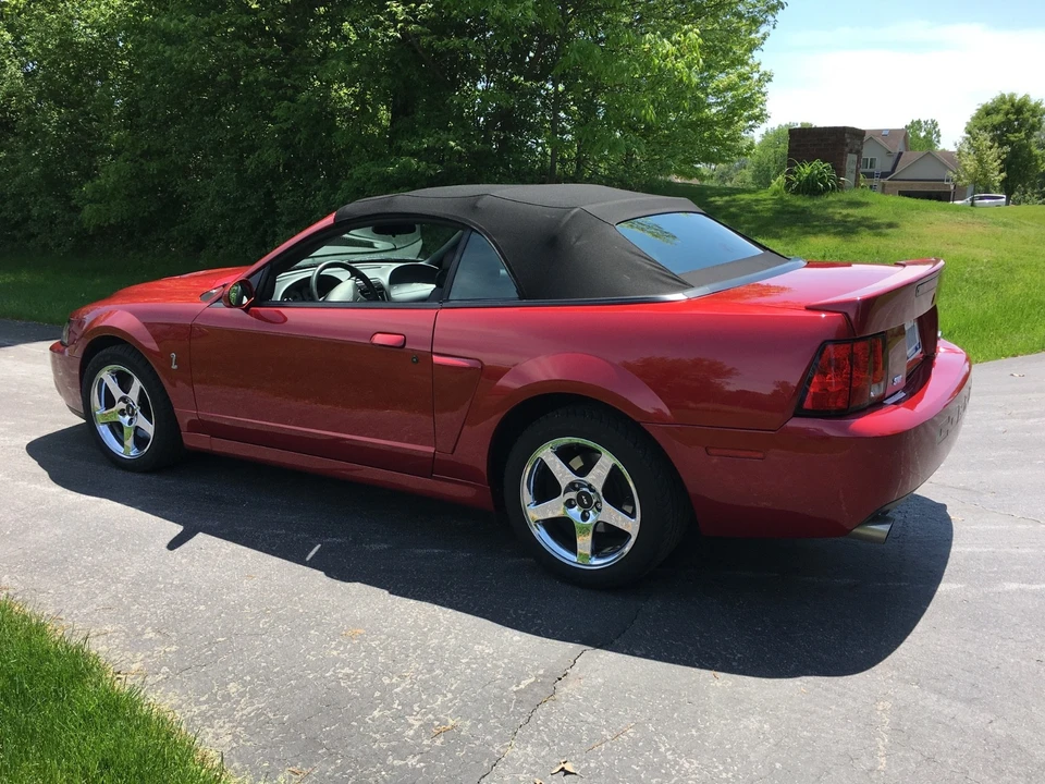 2003 Ford SN95 Mustang Cobra - Image 2 of 13