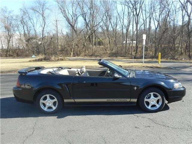 2003 Ford SN95 Mustang - Image 9 of 12