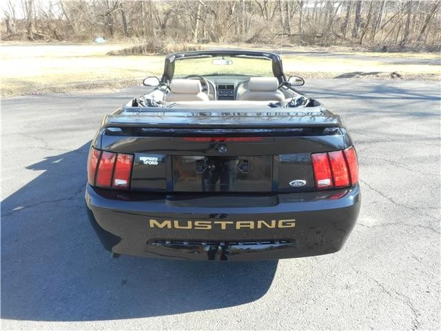 2003 Ford SN95 Mustang - Image 12 of 12