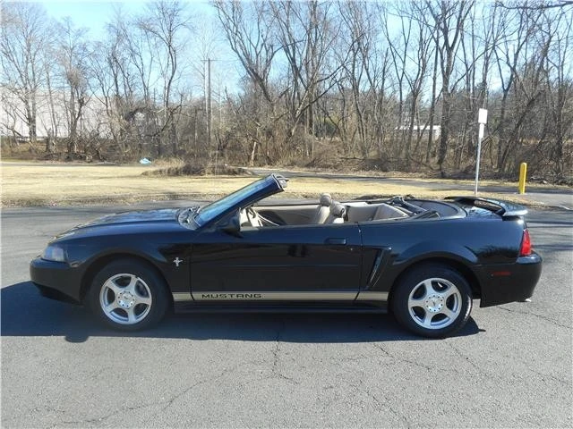 2003 Ford SN95 Mustang - Image 2 of 12