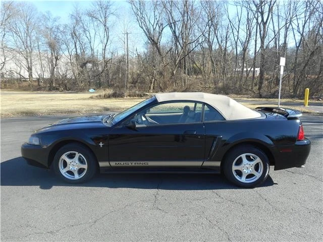 2003 Ford SN95 Mustang - Image 3 of 12