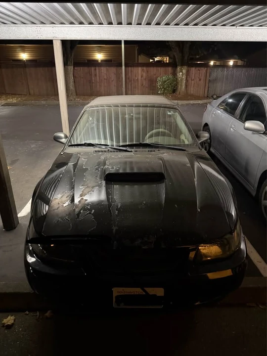 2003 Ford SN95 Mustang - Image 3 of 4