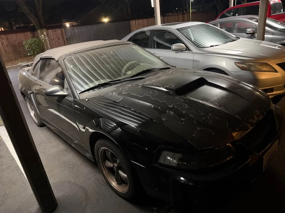 2003 Ford SN95 Mustang - Image 2 of 4
