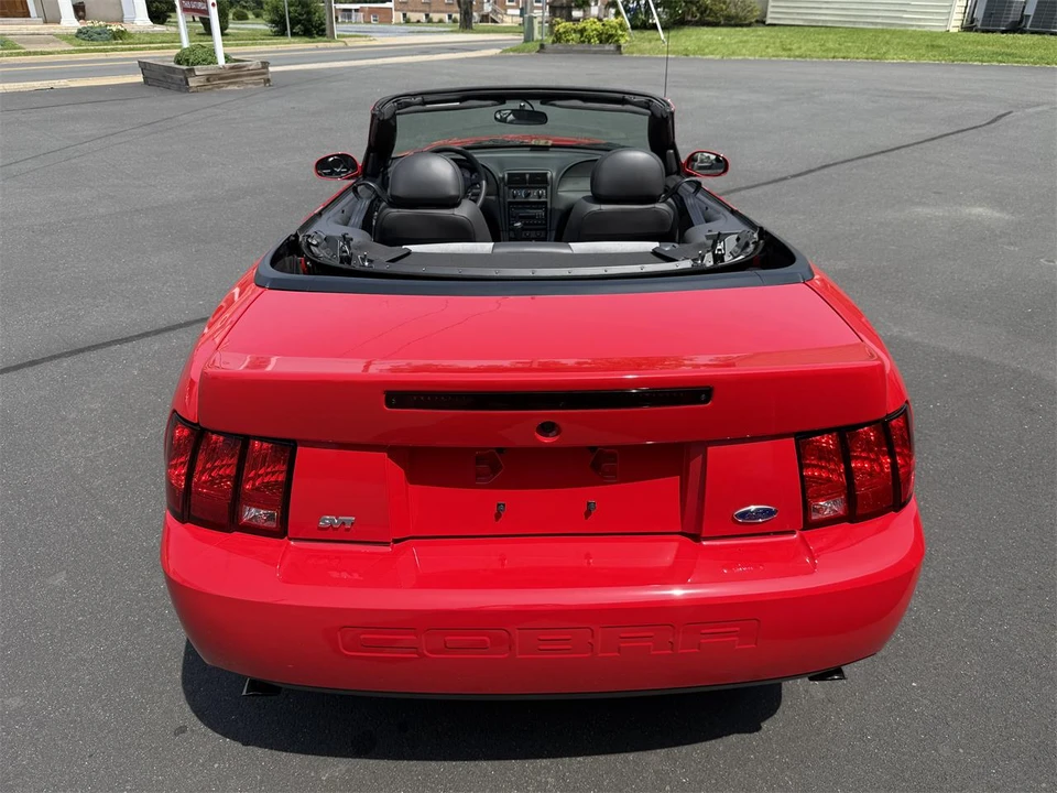 2003 Ford SN95 Mustang Cobra - Image 15 of 31
