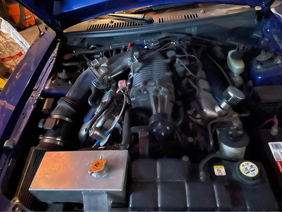 2003 Ford SN95 Mustang Cobra - Image 6 of 11