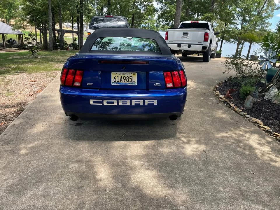 2003 Ford SN95 Mustang Cobra - Image 3 of 11