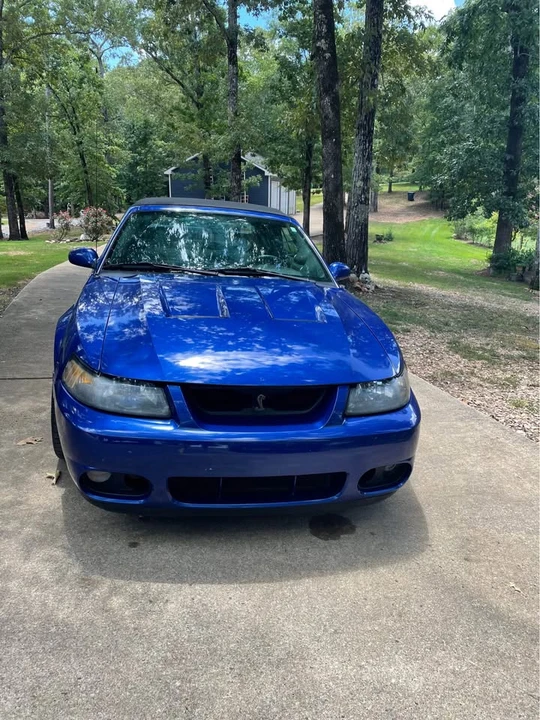 2003 Ford SN95 Mustang Cobra - Image 11 of 11