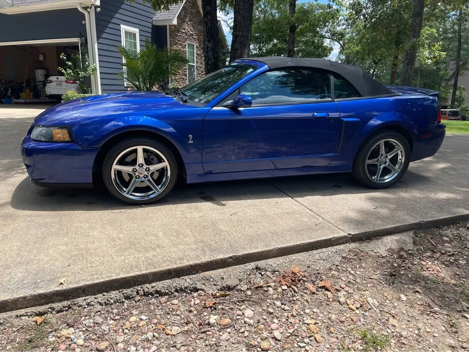 2003 Ford SN95 Mustang Cobra - Image 5 of 11