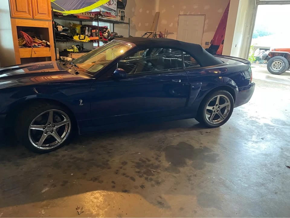 2003 Ford SN95 Mustang Cobra - Image 10 of 11