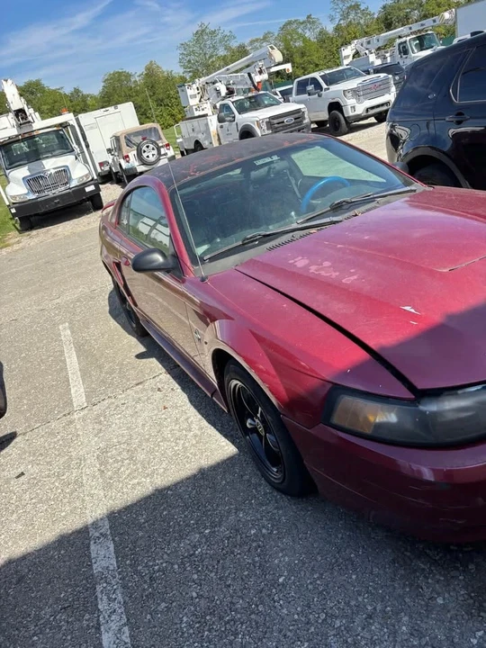 2003 Ford SN95 Mustang Cobra - Image 2 of 4