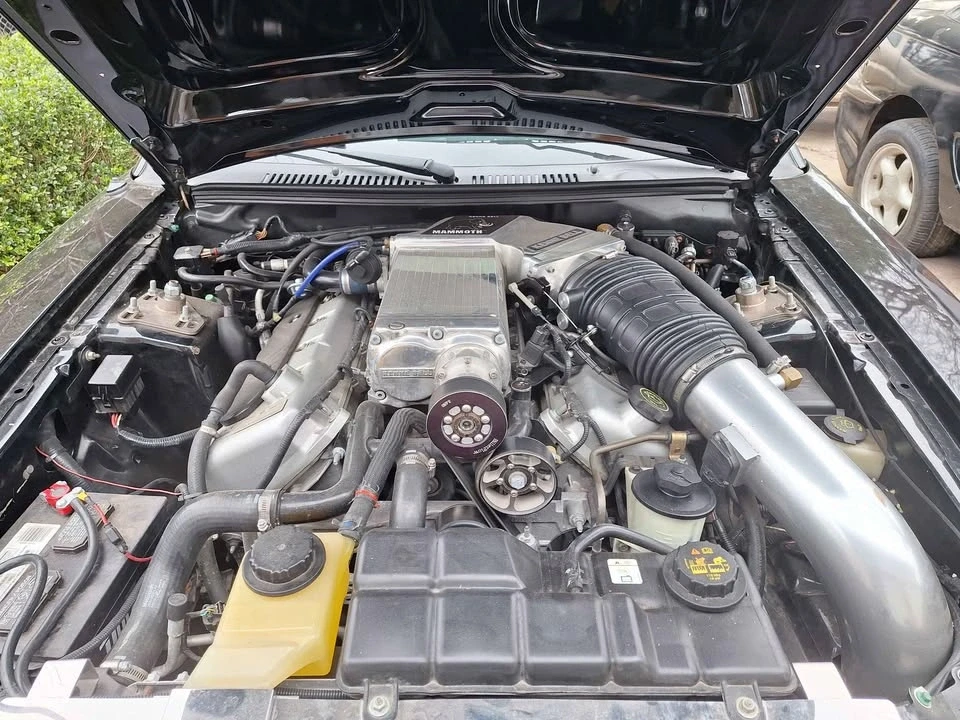 2003 Ford SN95 Mustang Cobra - Image 2 of 8
