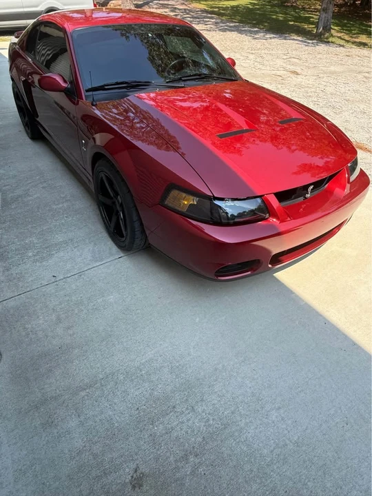 2003 Ford SN95 Mustang Cobra - Image 4 of 20