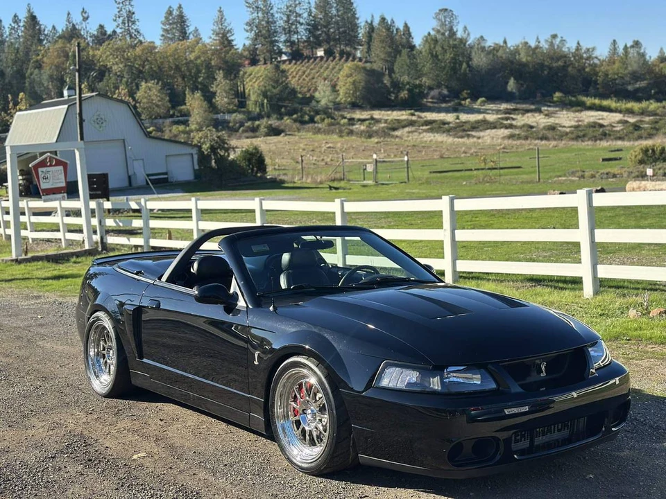 2003 Ford SN95 Mustang Cobra - Image 7 of 20