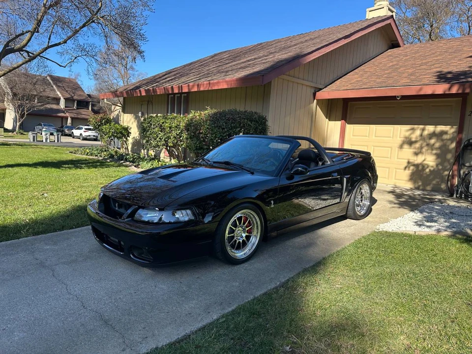 2003 Ford SN95 Mustang Cobra - Image 5 of 20