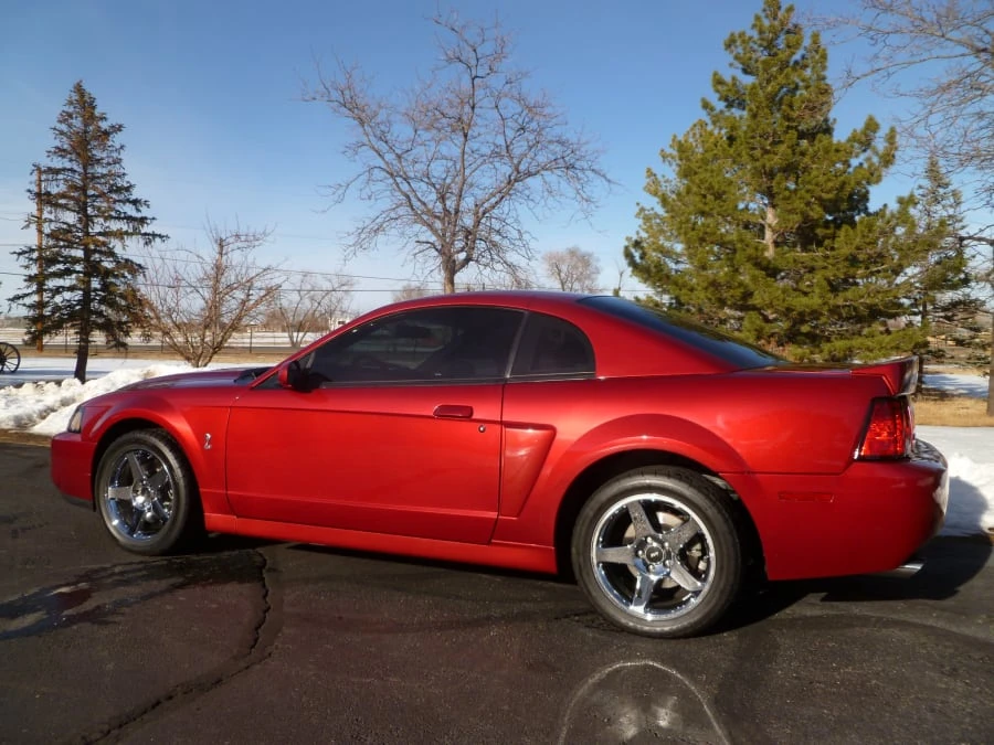 2003 Ford SN95 Mustang Cobra - Image 2 of 8