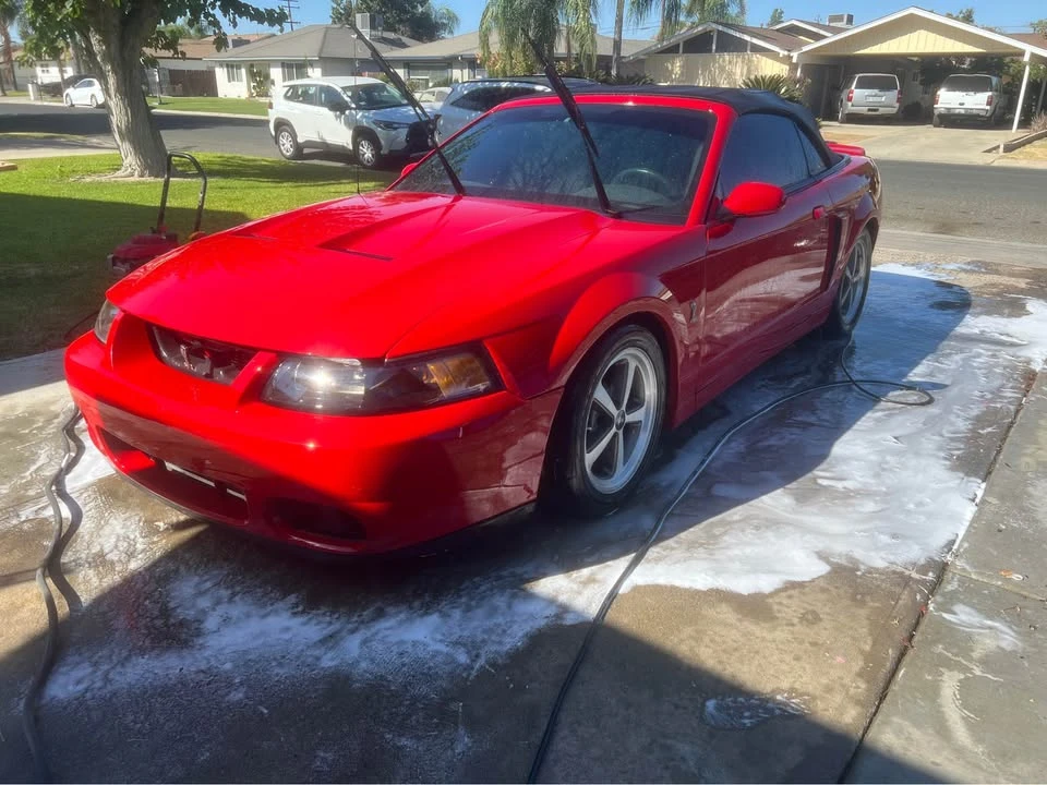 2003 Ford SN95 Mustang Cobra - Image 7 of 8