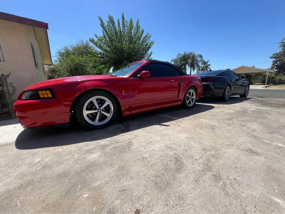 2003 Ford SN95 Mustang Cobra - Image 3 of 8
