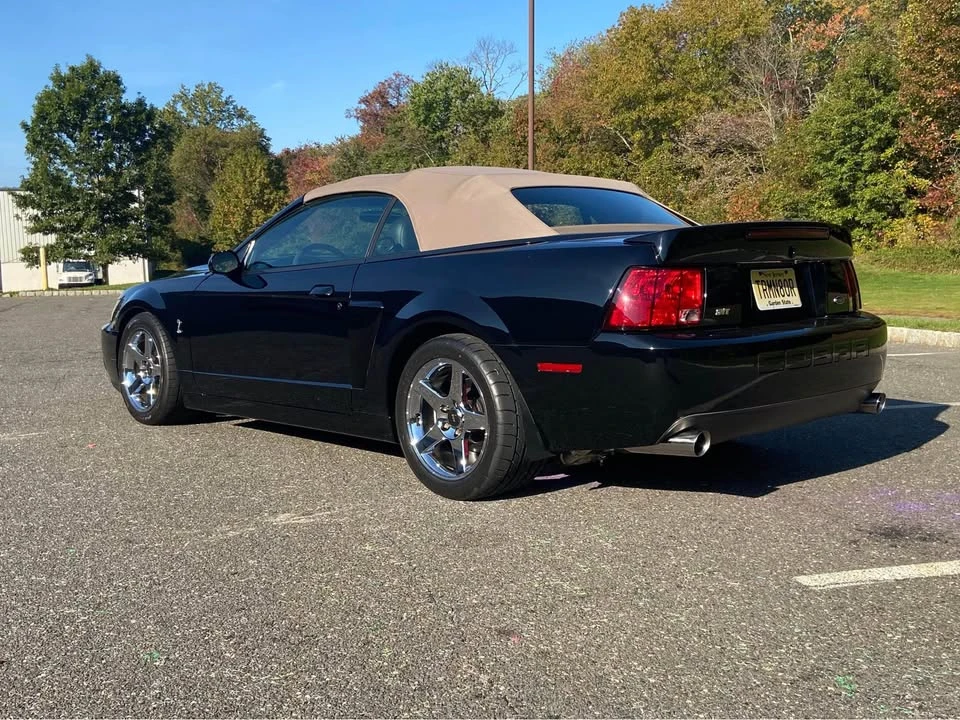 2003 Ford SN95 Mustang Cobra - Image 6 of 6