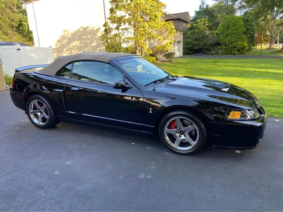 2003 Ford SN95 Mustang Cobra - Image 5 of 6