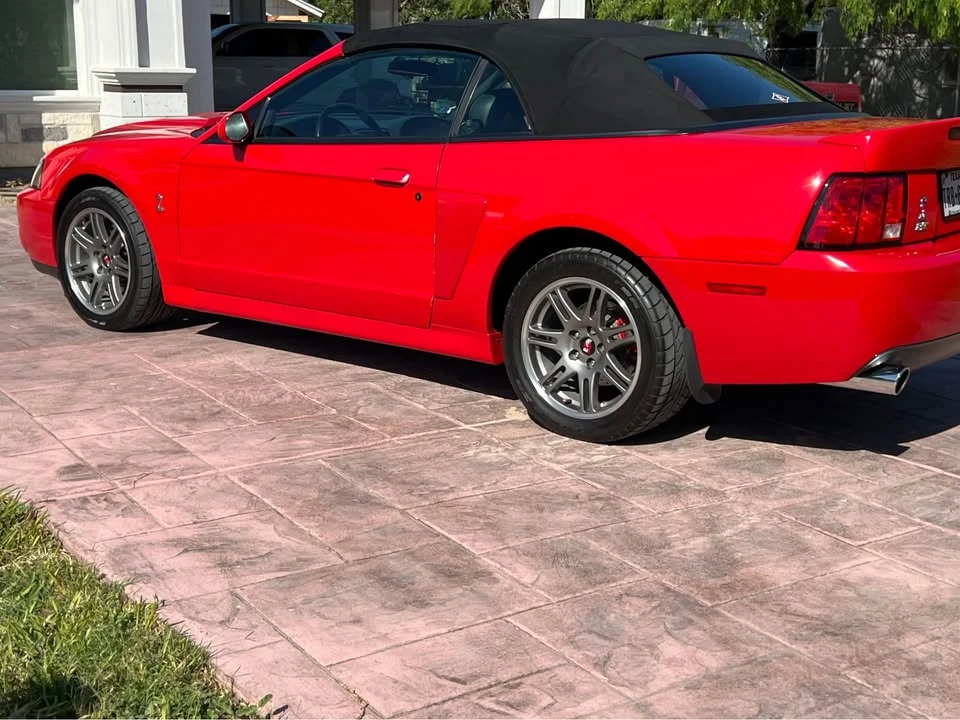 2003 Ford SN95 Mustang Cobra - Image 6 of 9