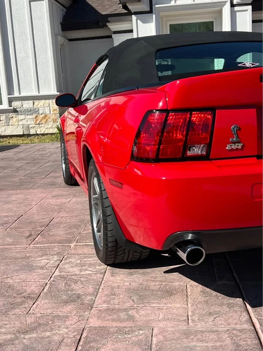 2003 Ford SN95 Mustang Cobra - Image 4 of 9
