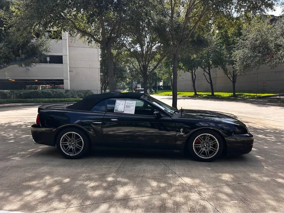 2003 Ford SN95 Mustang Cobra - Image 4 of 9