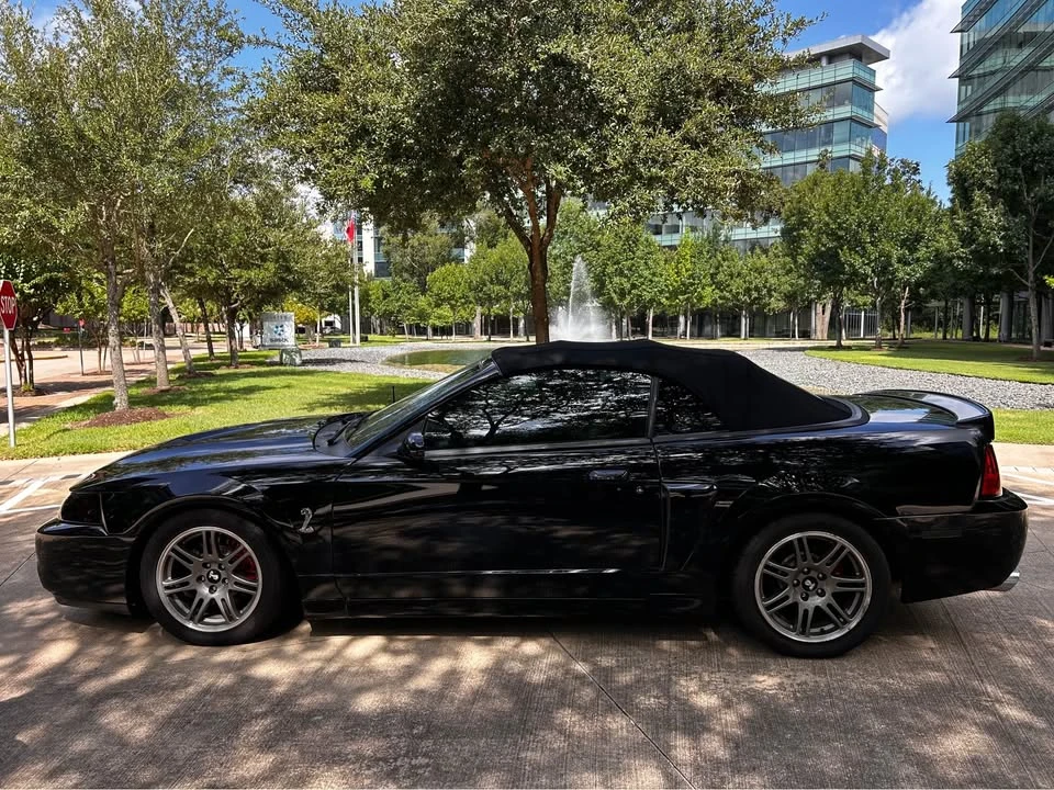 2003 Ford SN95 Mustang Cobra - Image 8 of 9