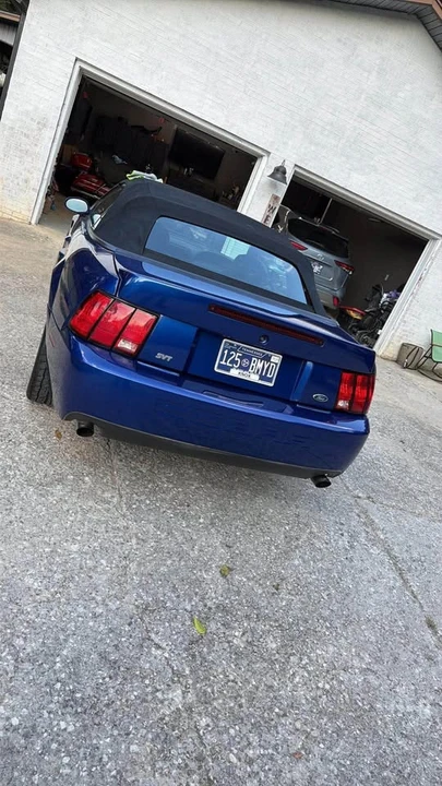2003 Ford SN95 Mustang Cobra - Image 3 of 9